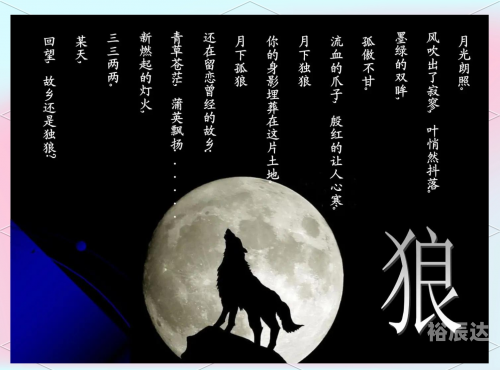 狼王梦全文在线阅读狼王梦全文阅读-第2张图片