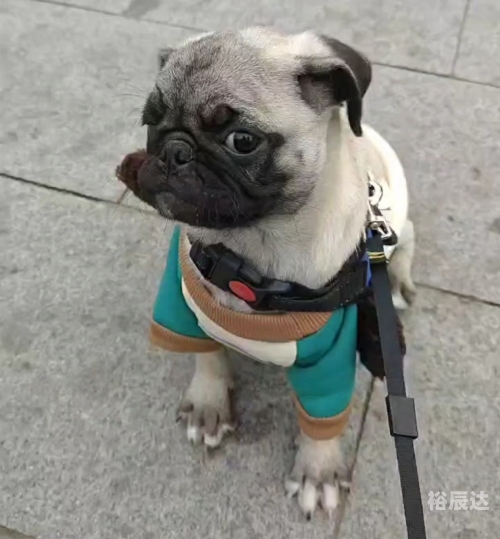 打工行吉他谱原版打工行吉他谱-第2张图片