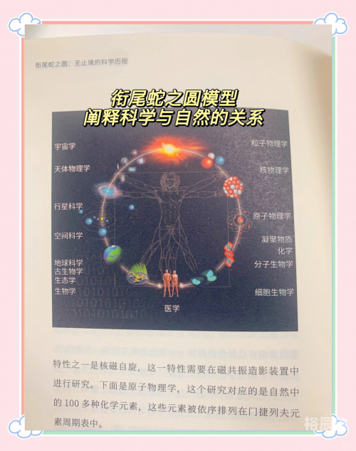 百性阁手机首页，探索科技新世界-第3张图片