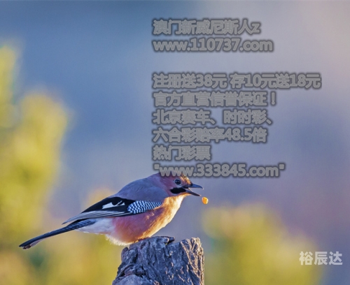 澳门今晚开码公开，2021年的新篇章