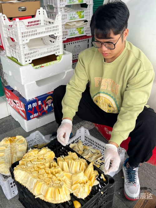 菠萝菠萝蜜手机网，探索科技新世界-第2张图片