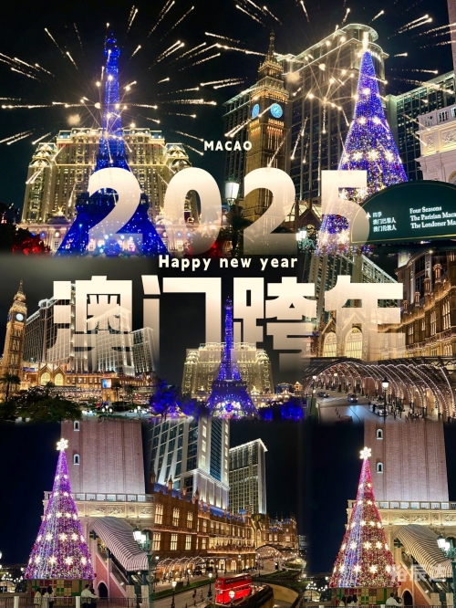 澳门资料大全+正版资料今天的今天开奖的新澳门免费资料大全，历史记录与开奖指南-第3张图片