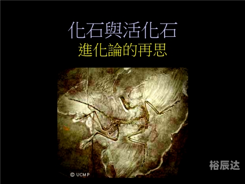 比 思论坛bbs比思论坛无法进入-第3张图片