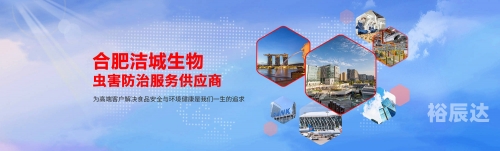 食品公司下载，便捷操作与优质服务的完美结合-第2张图片