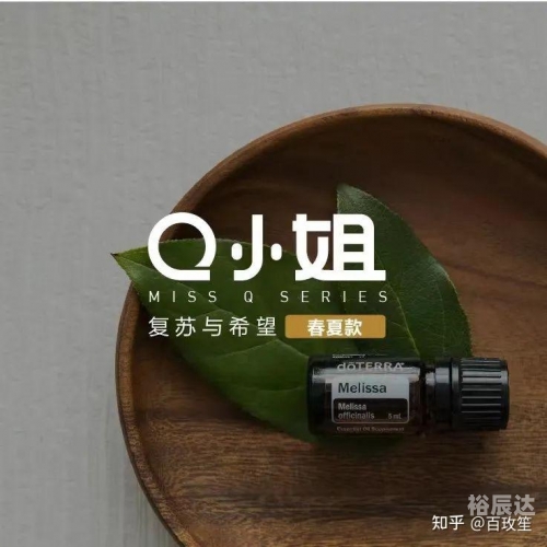 色小姐网站，诱惑与诱惑力的交织
