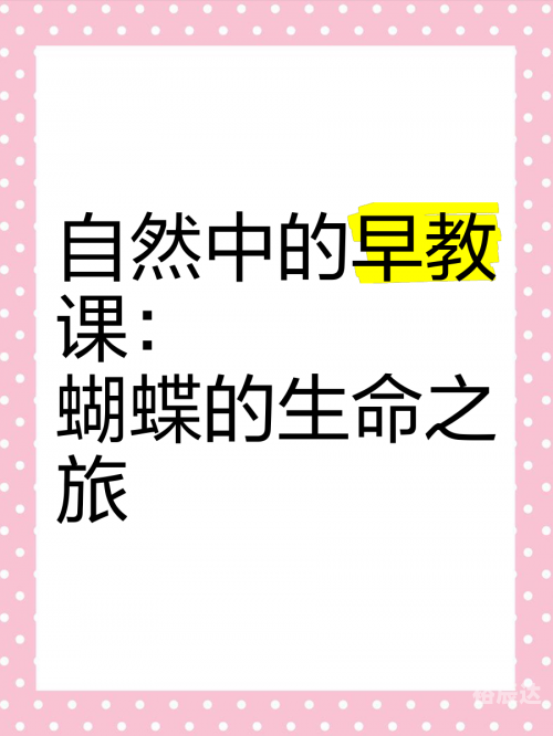 蝴蝶网论坛，探索网络世界的蝴蝶之旅-第3张图片