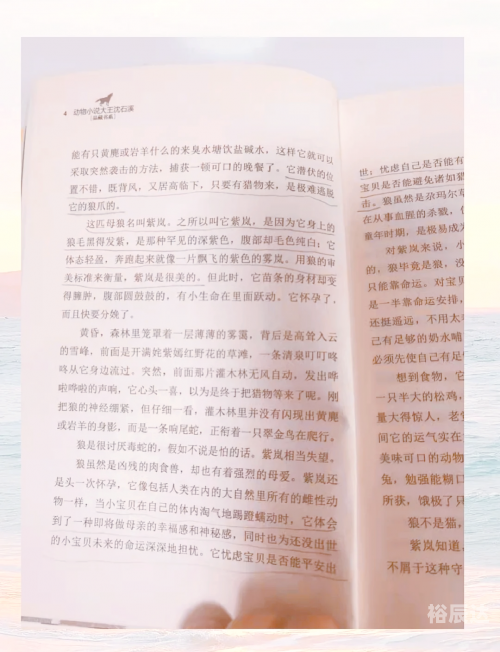 狼王梦全文在线阅读狼王梦全文阅读-第1张图片