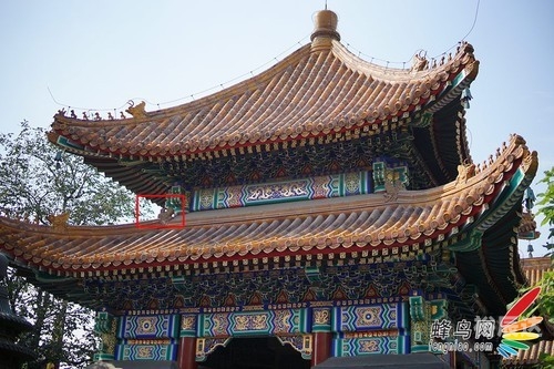 终极dg终极寸芒，突破极限，展现无与伦比之力-第1张图片