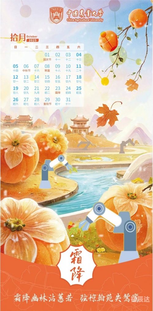 2009日历，回顾与展望