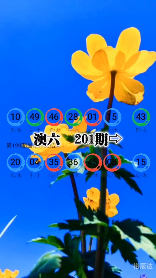 新澳正版资料免费提供新澳正版资料免费提供文章-第3张图片