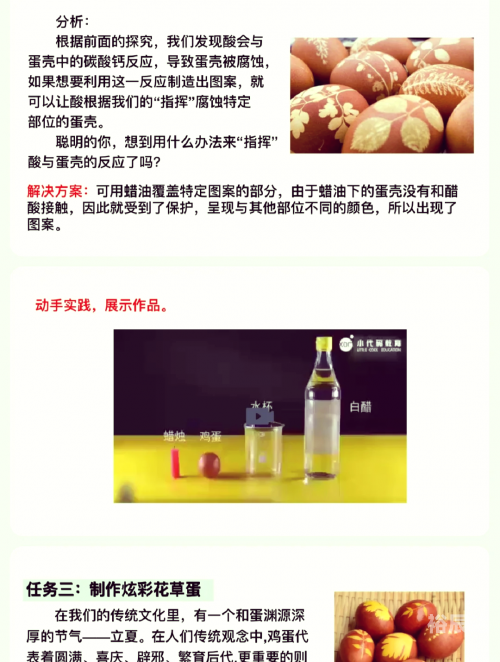 夜明珠预测，ymz01的神秘力量