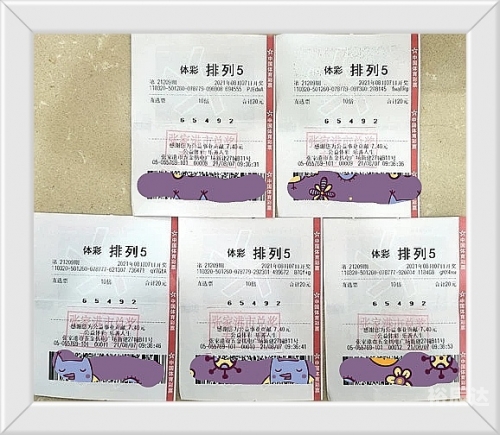 天机彩票软件，揭秘彩票投注新途径