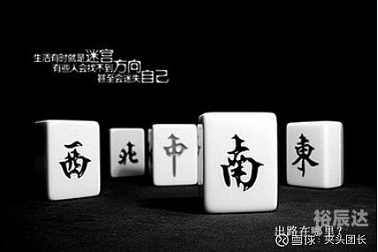 葡京赌侠打正确生肖葡京赌侠，赌坛传奇