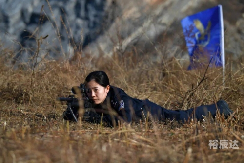 特警力量下载特警力量下载，安全与效率的双重保障