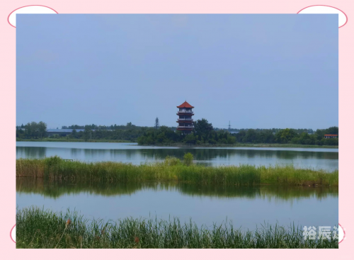 阜阳之旅，千里之行-第3张图片