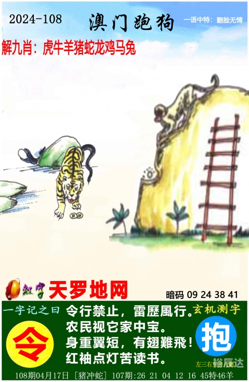 管家婆2024精准资料大全
