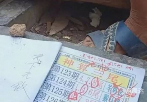 六和采开奖结果六和采开奖结果揭晓