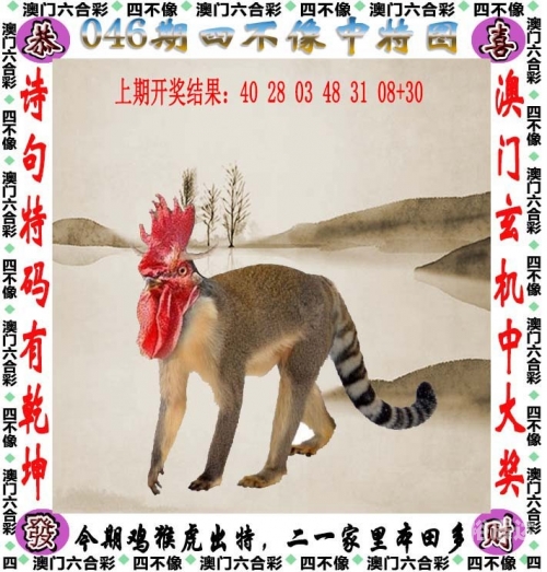 澳门精准资料精选资料及其准新澳精准资料期期精准，策略与展望