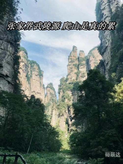北京到张家界怎么走最方便北京到张家界之旅-第2张图片