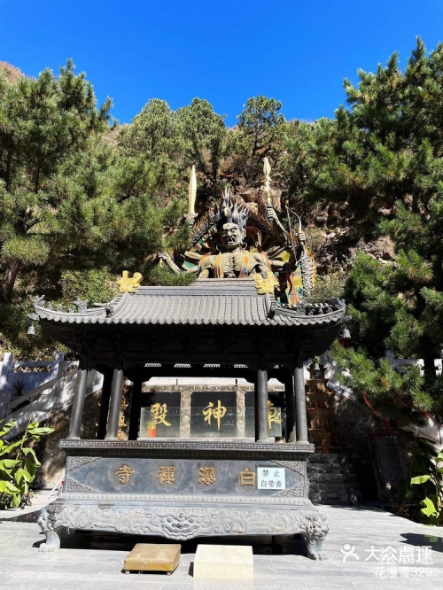 鬼道子新浪博客鬼道子博客，探寻神秘世界与心灵之旅-第3张图片