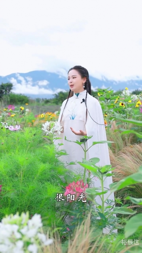 东方心经报，探寻东方智慧与心灵修行-第2张图片