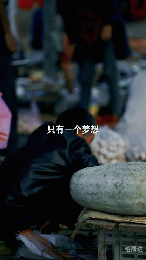 小富豪心水论坛，财富与梦想的交汇之地-第2张图片