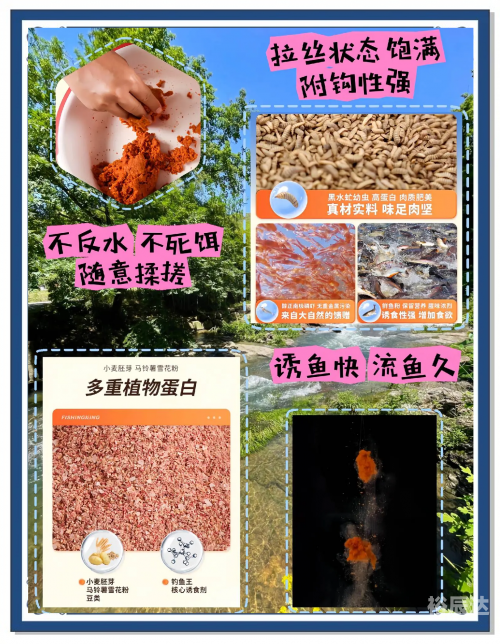 钓鱼王论坛钓鱼王论坛，探索钓鱼爱好者的交流平台-第2张图片
