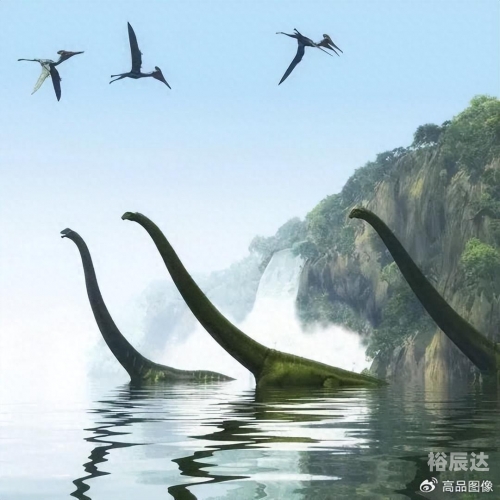 红组图库红组图库，视觉盛宴的宝藏库