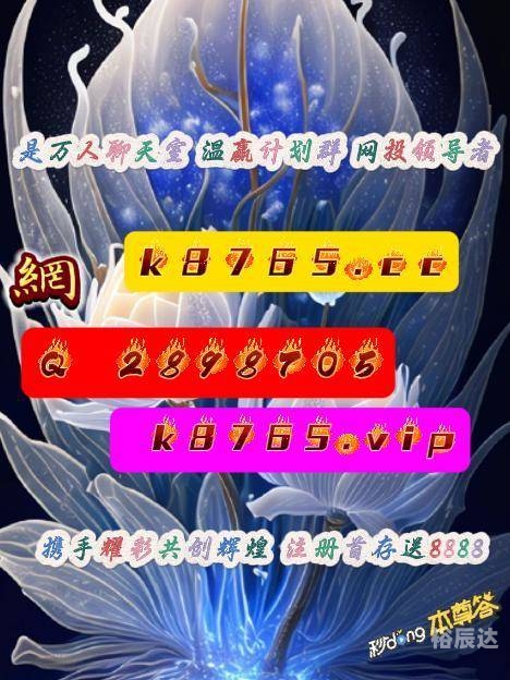赢彩彩票，探索彩票之路