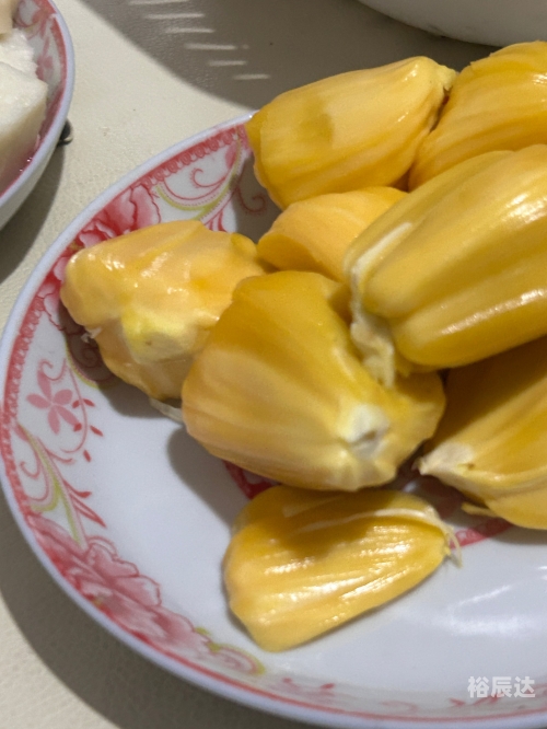 菠萝菠萝蜜手机网菠萝菠萝蜜手机网，探索科技新世界-第1张图片