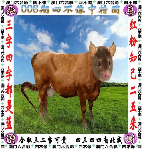 香港资料期期准千附三险阻，深度解读-第3张图片