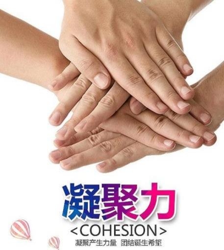 精鹰网站一肖一吗精鹰网，科技与互联网的革命性力量-第3张图片