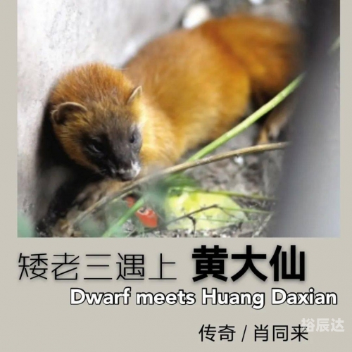 黄大仙一肖一码开奖37B黄大仙一肖一码开奖37B，神秘开奖背后的故事-第2张图片