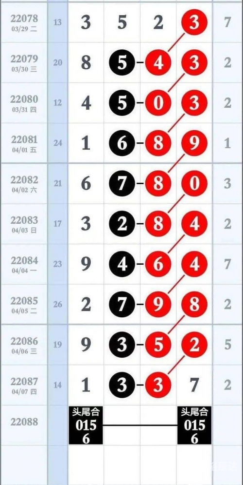 特区网七星彩论坛精选特区网，引领特区发展的前沿窗口-第3张图片