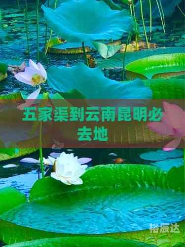 五家渠旅游五家渠旅游攻略-第3张图片