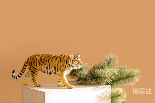 彩虹是特马猜一生肖彩虹是特马猜——生肖探秘-第2张图片