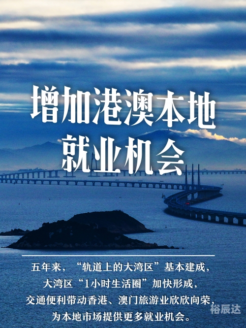 2023澳门精准正版澳门码2023澳门精准正版澳门码，探索澳门码的魅力与机遇-第3张图片
