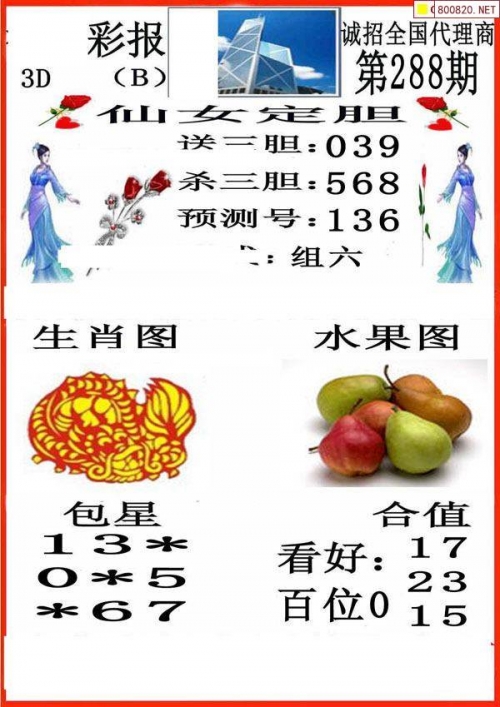 3d图库三毛字谜总汇3D图库中的三毛之美-第1张图片
