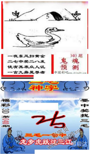 3d图库三毛字谜总汇3D图库中的三毛之美-第2张图片