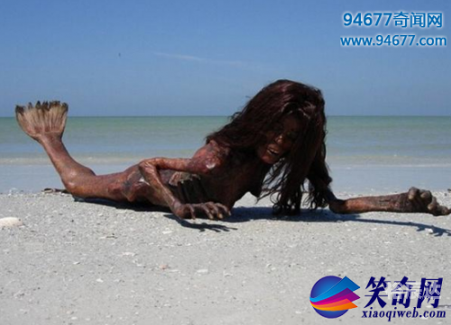 探索138383美人鱼论坛，美人鱼的奇幻世界