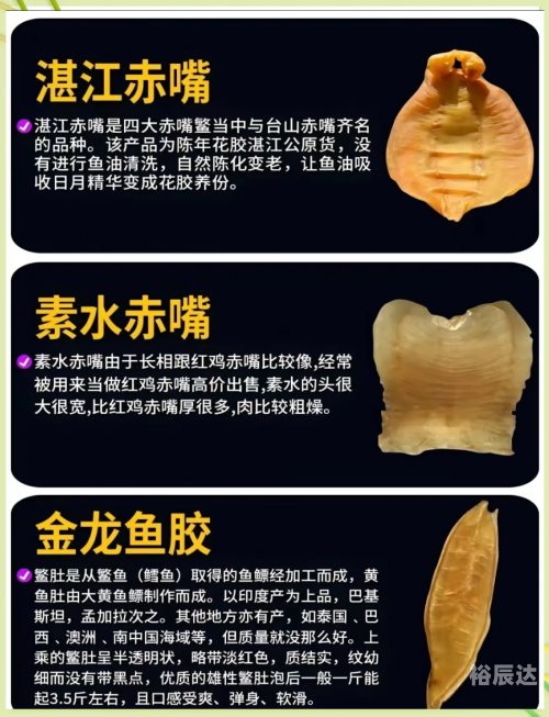 海味八珍海味八珍，品味海洋珍馐-第2张图片
