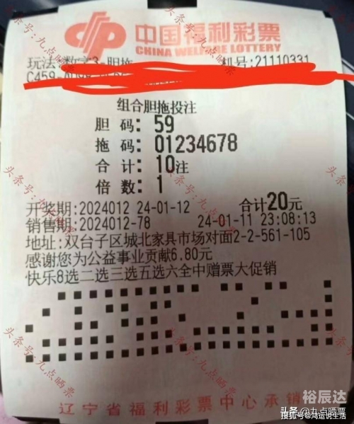 彩票猎手网，探索数字彩票的神秘世界