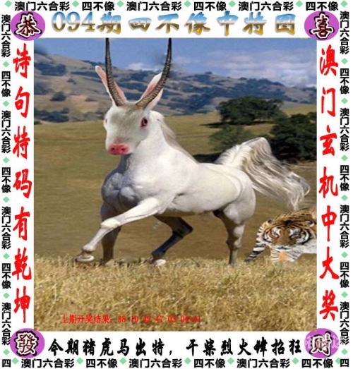 管家婆六肖中特网，神秘与实用的数字世界