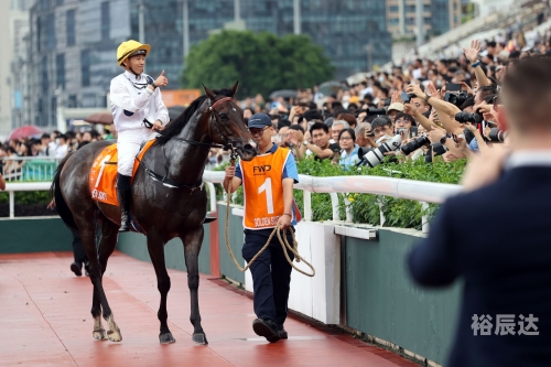 香港资料免费长期公开香港资料免费长期公开，探索香港历史与文化的珍贵资源-第2张图片