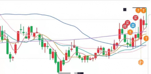 481走势图分析-第2张图片