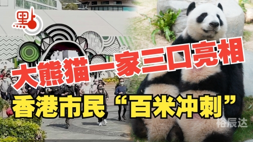大熊猫盈盈乐乐盈乐乐，快乐与智慧的融合