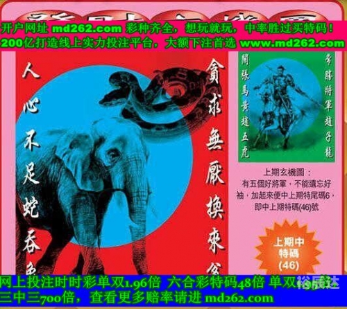 买马网站 12生肖官网2025澳门买马网，引领马匹交易新风尚-第3张图片