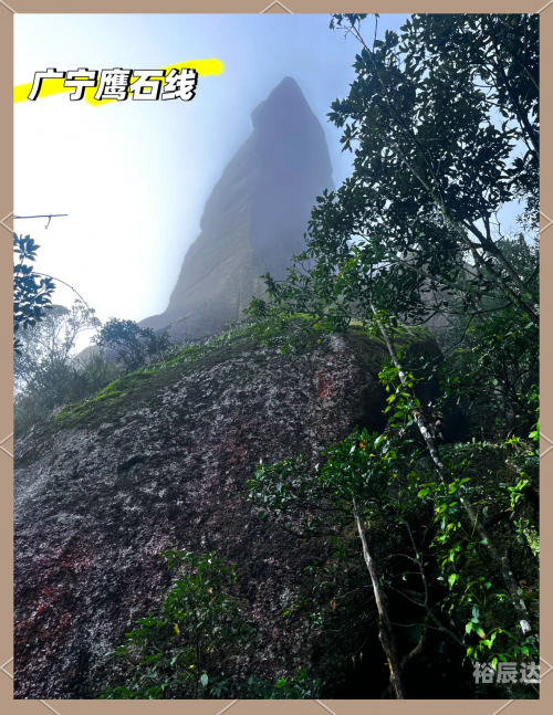 广东鹰坛广东鹰坛，传统与现代的交汇之地