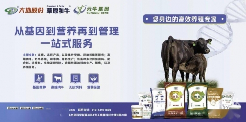 天诚集团天诚集团，引领行业新篇章-第1张图片
