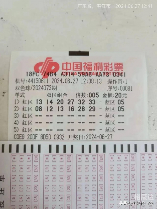 双色球100期，彩票奇迹的探索-第1张图片